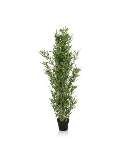 BAMBUS - Plante artificielle 