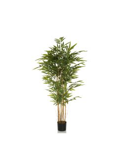 BAMBUS II - Plante artificielle 
