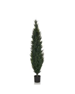 CEDRUS - Plante artificielle 