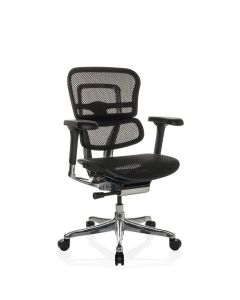 ERGOHUMAN BASE GEN2 | tissu maille - Siège de direction de luxe