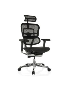 ERGOHUMAN GEN2 | maille / cuir - Siège de direction de luxe