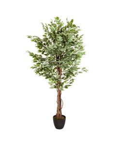 FICUS - Plante artificielle 