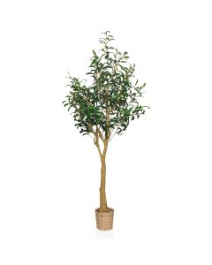 OLIVE II - Plante artificielle 