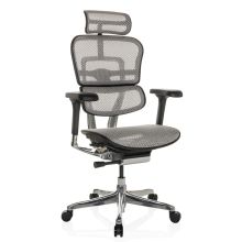 ERGOHUMAN GEN2 | tissu maille - Siège de direction de luxe gris clair