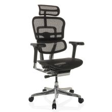 ERGOHUMAN GEN2 | tissu maille - Siège de direction de luxe Noir