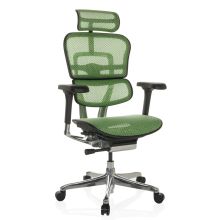 ERGOHUMAN GEN2 | tissu maille - Siège de direction de luxe Vert