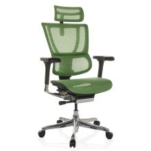 ERGOHUMAN SLIM GEN2 | tissu maille - Siège de direction de luxe Vert