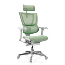 ERGOHUMAN SLIM G GEN2 | tissu maille - Siège de direction de luxe Vert