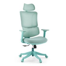 Ergomy Colore | Tissu / Maille 3D | Structure : Multicolore - Siège de bureau à domicile Turquoise