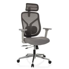 CASSILIS W - Siège de bureau haut de gamme Gris