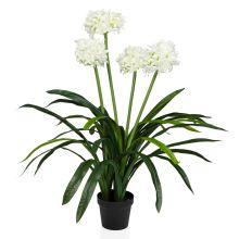 AGAPANTHUS - Plante artificielle vert - blanc
