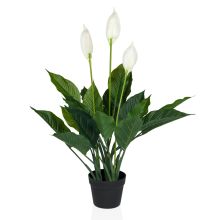 SPATHIPHYLLUM - Plante artificielle vert - blanc