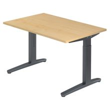 XTRA XB 12 GG | Bureau - Érable 120 x 80 réglable en hauteur