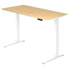 XBHM 16 WW | Bureau - Érable 160 x 80 réglable en hauteur électriquement