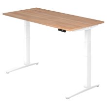 XBHM 16 WW | Bureau - 160 x 80 Noyer réglable en hauteur électriquement