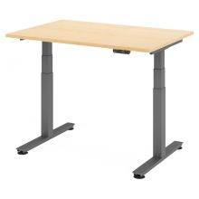 XDSM 12 G | Bureau - Érable 120 x 80 réglable en hauteur électriquement