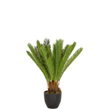 CYCAS - Plante artificielle 
