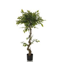 FICUS I - Plante artificielle 